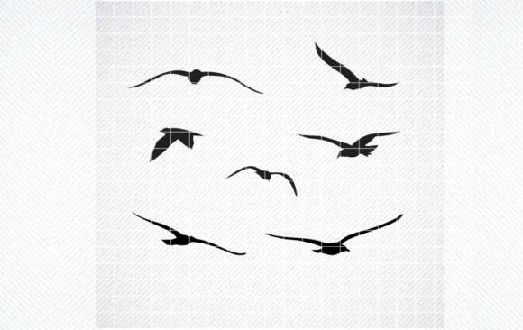 SEAGULLS SVG Review: Graphics & Crafts Design Asset